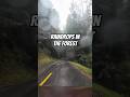 Rainy drives hit different. 🌧️