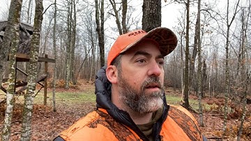 Big Tine Clover food Plot Hunt