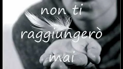 Qual è l'animale più vecchio?