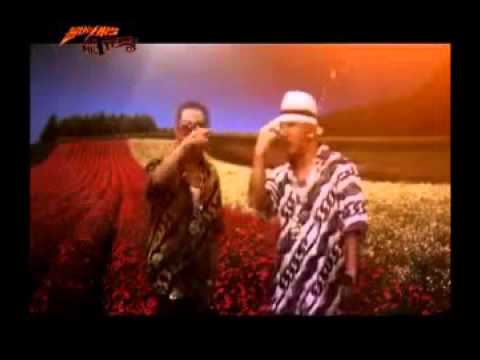 MR  Tyfoon MV