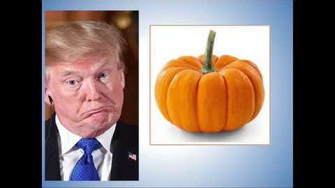 satRday Joburg 2019 | Natasha Sing : Geo-spatial data visualization in R