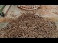 Pelet kayu adalah bahan bakar terbarukan yang terbuat dari kayu yang dapat ditemukan di mana-mana.