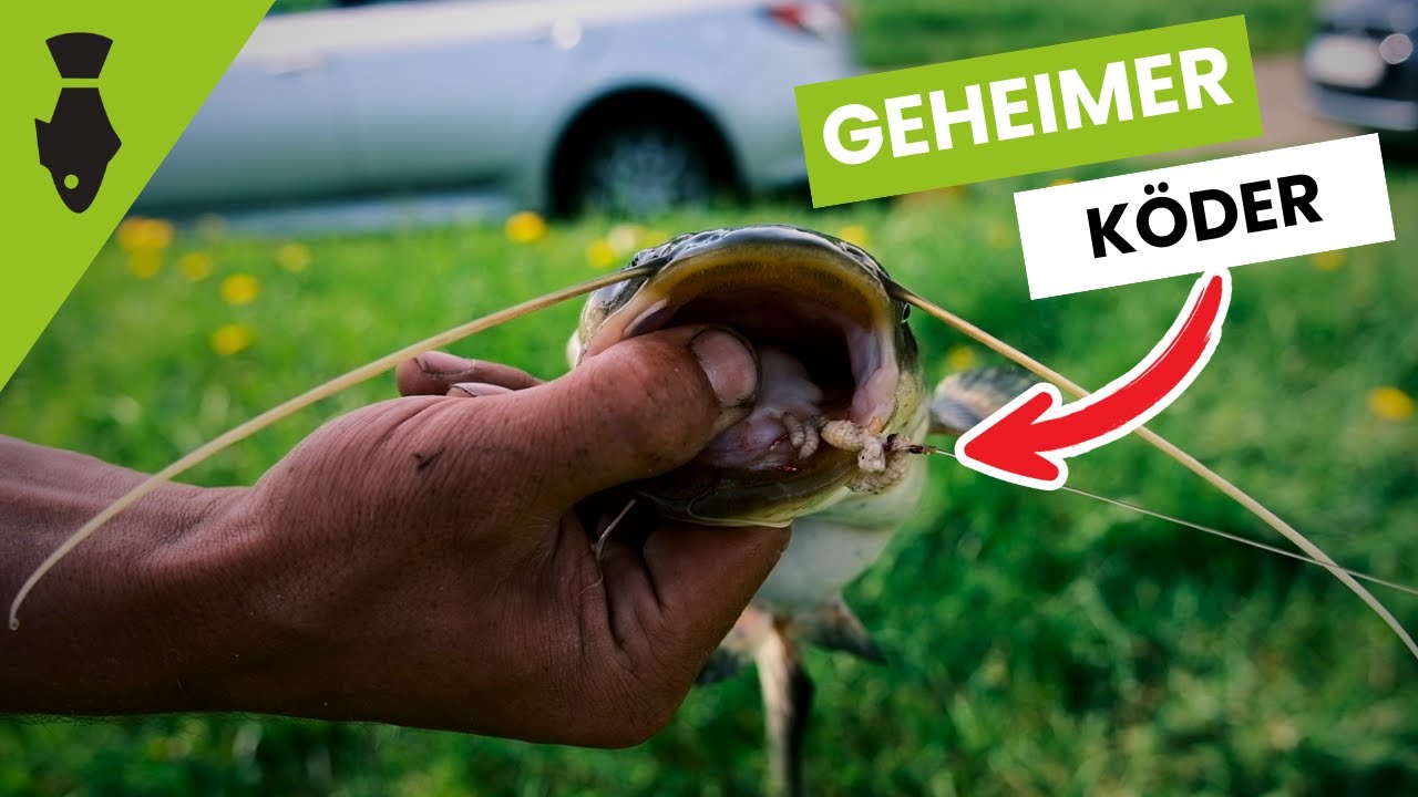 Angel-Eimer Für Lebende Fische - Tragbarer Köderbehälter Für Outdoor