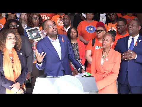 Albany Gun Violence Prevention Rally and Policy Call to Action