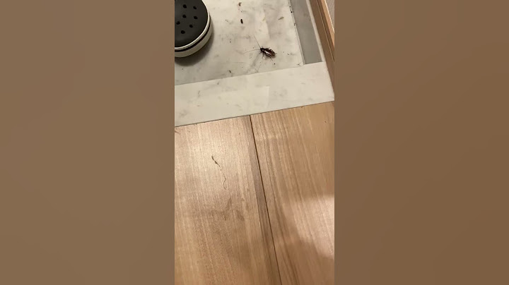 特大が出た。助けてください。