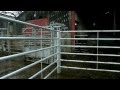 Lambing Live 2011 - Episode 4
