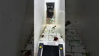 Garrafa na escada. Bottle on stairs #asmr #satisfying #satisfyingsound #satisfyingvideos #asmrtiktok