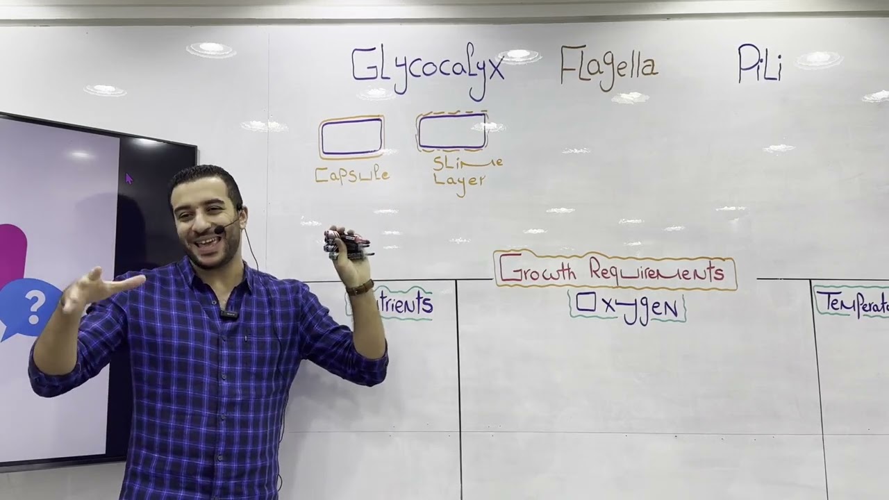 Microbiology (309) (2024) - Lecture (3)