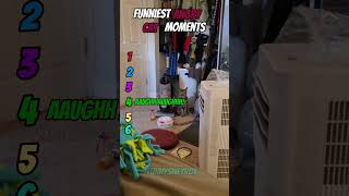 Bro have a bad plans in his mind💀| Funniest Angry Cat Moments