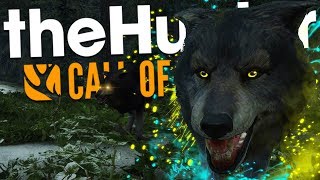 The Hunter Call Of The Wild | BIG NEWS REVEAL & HUNTING WOLVES AT NIGHT!! screenshot 1