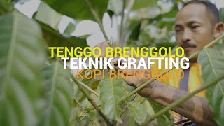 Tenggo Brenggolo Desa Brenggolo