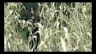 Penantian ( Christine Robell )