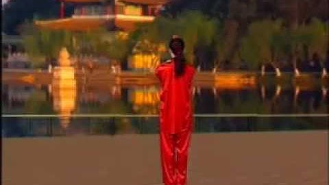 CÔNG PHU PHIẾN 56T