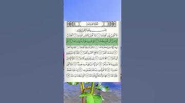 سورة القيامة القرآن الكريم الشيخ صلاح بوخاطر #القرآن_الكريم #القران_الكريم #سورة_القيامة