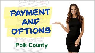 How to Pay a Traffic Ticket Online in Polk County Florida