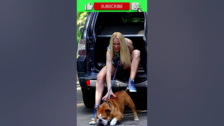 #FACTS 021: AMERICAN BULLDOGS - FACTS ABOUT DOGS YOU DIDN'T KNOW! #shorts