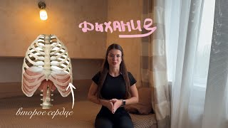 Диафрагмальное дыхание: для беременных / как правильно дышать