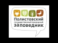 Заповедная Россия. Край болот - Полистовский заповедник с высоты птичьего полёта