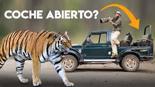 SAFARI con TIGRES SALVAJES en India: ¿ES PELIGROSO?