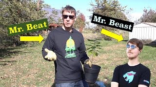 Mr. Beat Plants A Tree For Mr. Beast