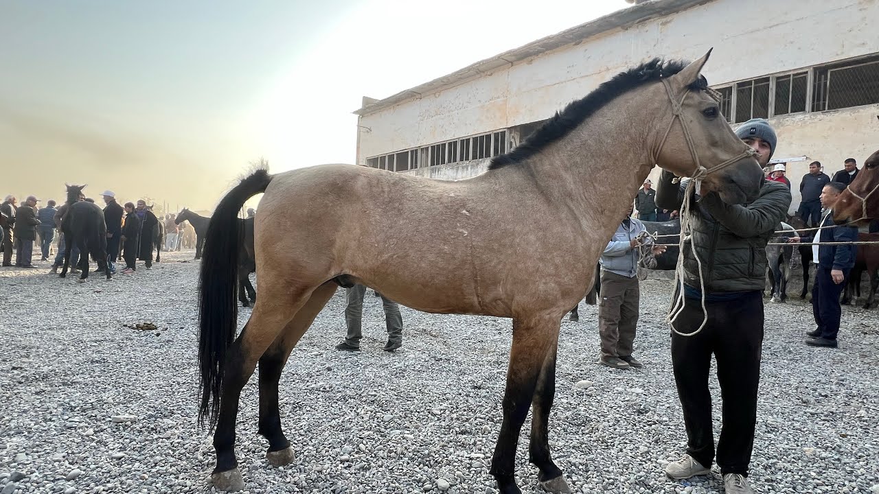 Срочно 🚨 АСПБОЗОРИ ЛЕНИНСКИЙ РАЙОН 😱22:10:2025. 🚑 100:000 хазор ПРАСМОТР 🚨😱