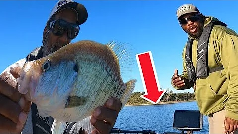 BEST Places to Find Crappie In OCTOBER! (FALL HOTSPOTS)