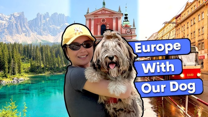 How Much Does It Cost to Travel With a Dog: Ultimate Budget Guide