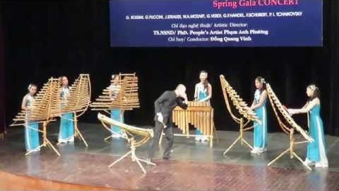 Cảm xúc Tây Nguyên - Vietnamese Bamboo Ensemble