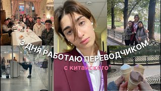 : VLOG ||   /  