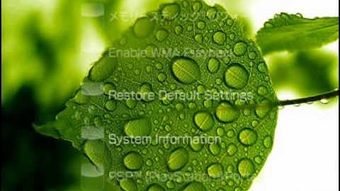 PSP 6.20/6.35/6.39 Dripping CTF theme + DOWNLOAD!!