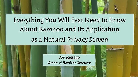 Everything You Will Ever Need to Know About Bamboo and Its Application as a Natural Privacy Screen - DayDayNews