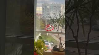 Сбой в матрице или мистика #мистика #теориязаговора #сбойвматрице