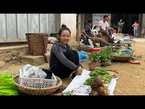 Harvest yams and vegetables to sell at the highland market EP.79