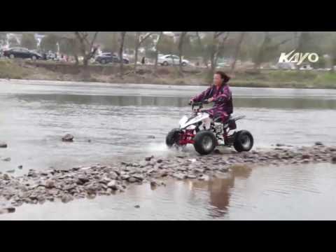 Quad ATV ( Predator 110 )