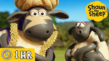 Shaun the Sheep 🐑 Timmy