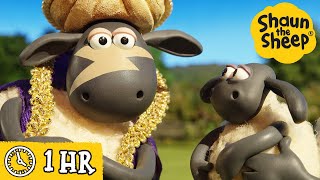 Shaun the Sheep 🐑 Timmy's GIANT Pizza Wish \u0026 MORE 🍕 Full Episodes Compilation