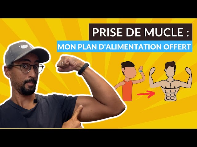 PRISE DE MASSE PROPRE : JE T’OFFRE TON PLAN D’ALIMENTATION