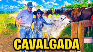 CAVALGADA COM BOI NELORE