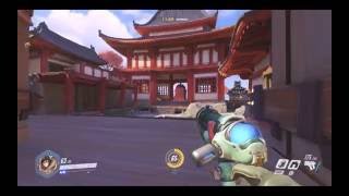 Mei wall bug