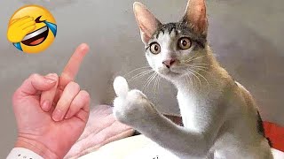 Funniest Cats and Dogs 2024 😹🐶 New Funny Animals Video 😍 Part 162