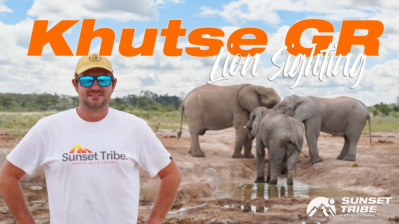 Незапланированный визит в заповедник Хутсе произвел ошеломляющее впечатление...🦁🦁🦁🦁🦁