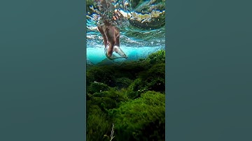 اكتب شيء تؤجر عليه تلاوة جميلة من محمد اللحيدان