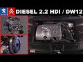 Présentation du moteur 2.2 HDi DW12 TED4