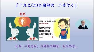 法華心香 第1092集 ：同乘正覺 說大乘法 20220723