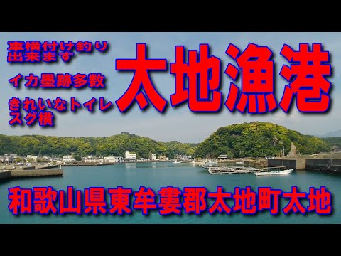#177和歌山県太地漁港七里御浜道の駅紀宝町ウミガメ公園道の駅たいじ那智勝浦新宮道路那智勝浦町市屋紀宝バイパス紀宝IC国道42号熊野川河口大橋新宮市紀宝道路車横付け釣りイカ墨跡多数きれいなトイレスグ横