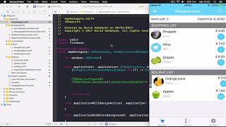 iOS App Grocery List (Swift 3.1, iOS10.3) from 0 to AppStore : Introduction