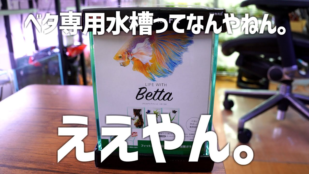 ベタしか飼えない!?謎の新商品を開封レビュー。GEXグラステリアフィットベタ150 #516【アクアリウム】
