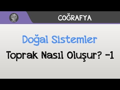 Video: Kaya ve toprak nasıl ilişkilidir?