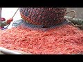 Red Shrimp Fishing Modern Vessel Cold Water  - ColdWater Shrimp Harvesting and processing