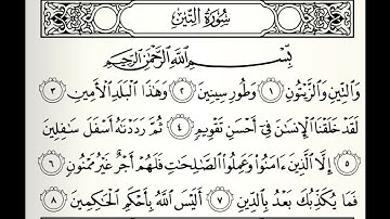 سورة التين القارى طارق عبدالغني دعوب برواية قالون عن نافع
